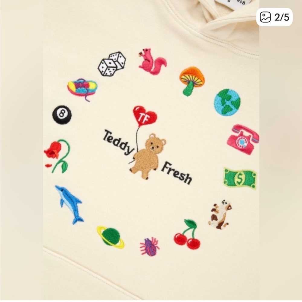 Teddy Fresh RARE Everything I Love Embroidered Hoodie in Bone Cream
